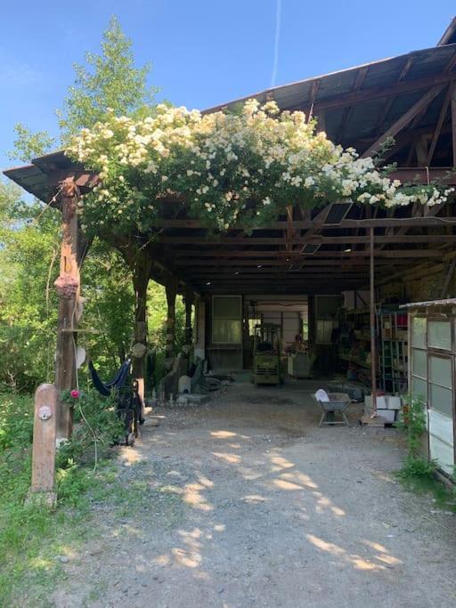 Kleine Kunstremise Mit Holzofen Burg Freienfels Apartman Weinbach Kültér fotó